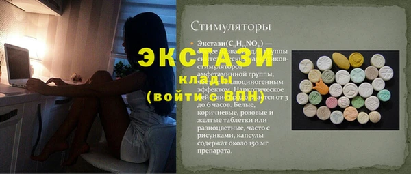 молекула духа Богородицк