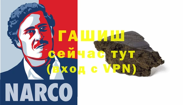 молекула духа Богородицк