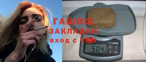 молекула духа Богородицк