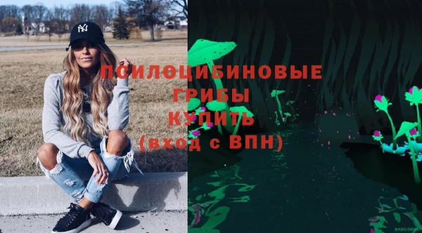 амф Бугульма