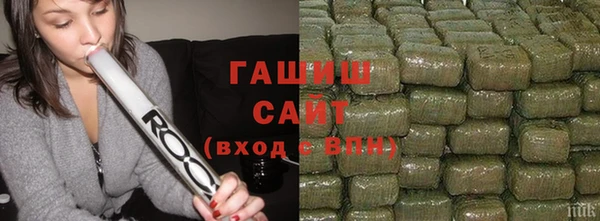 молекула духа Богородицк