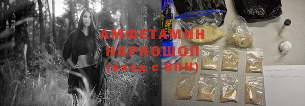 молекула духа Богородицк